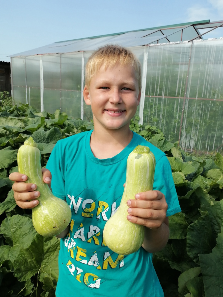 сортоиспытания в Уриковской СОШ Иркутской области