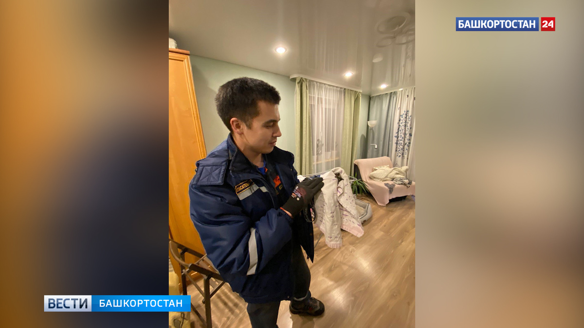    "Подсказала" собака: уфимка обнаружила на шкафу в квартире летучую мышь