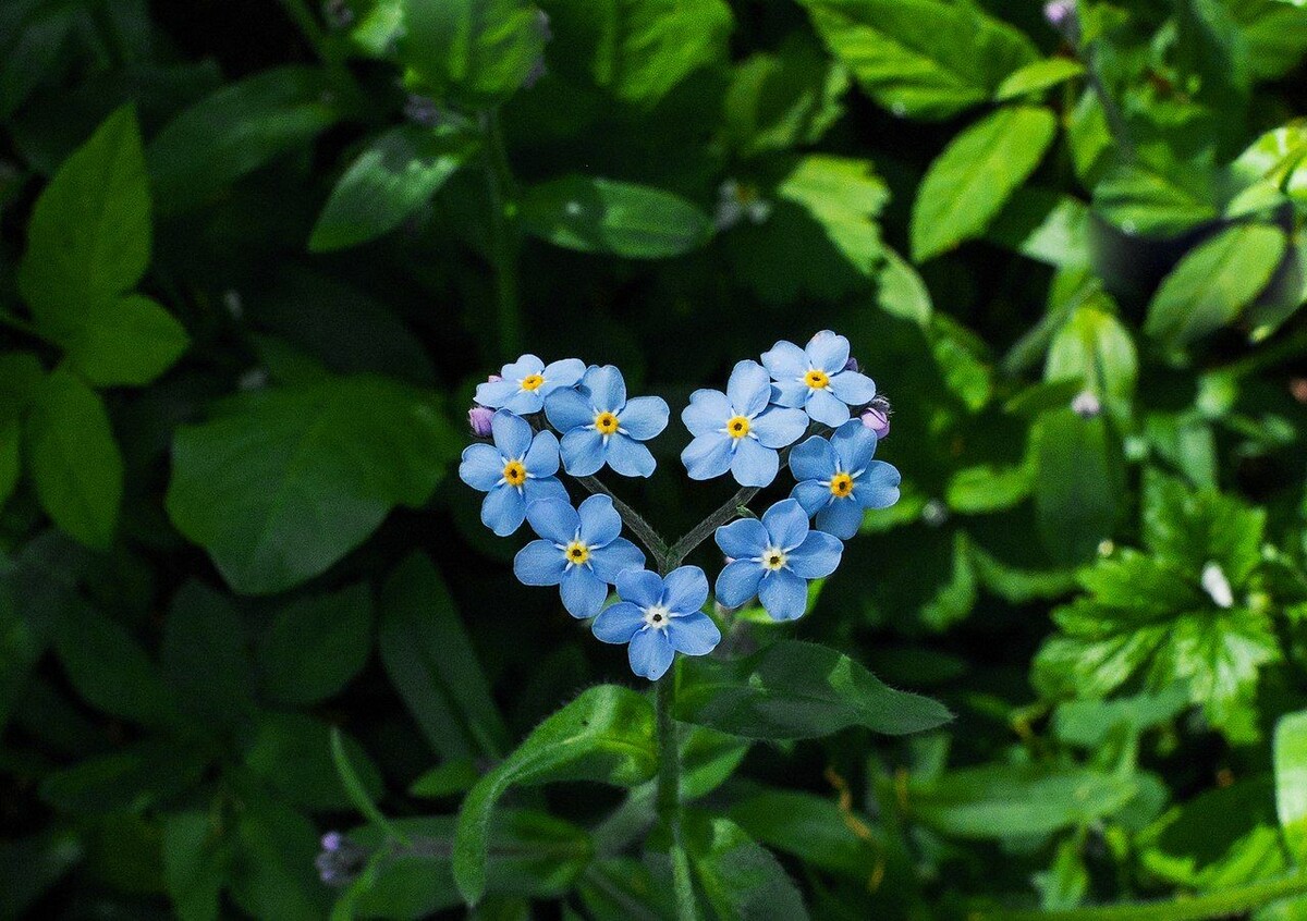 Вот такая чудесная картинка нашлась к этому посту.