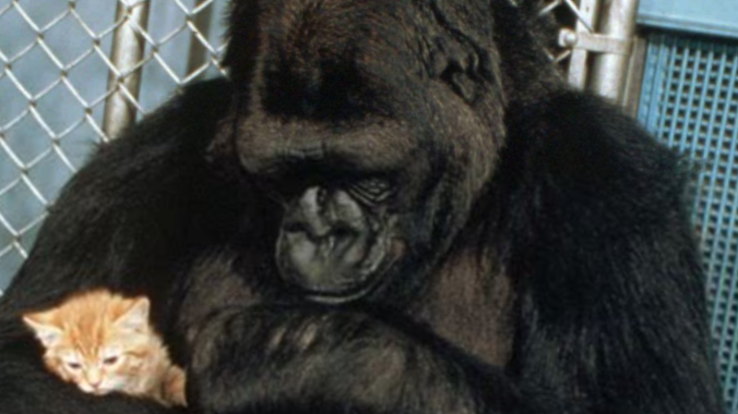 Когда мой батя напился, а я не могу вылезти из его рук.