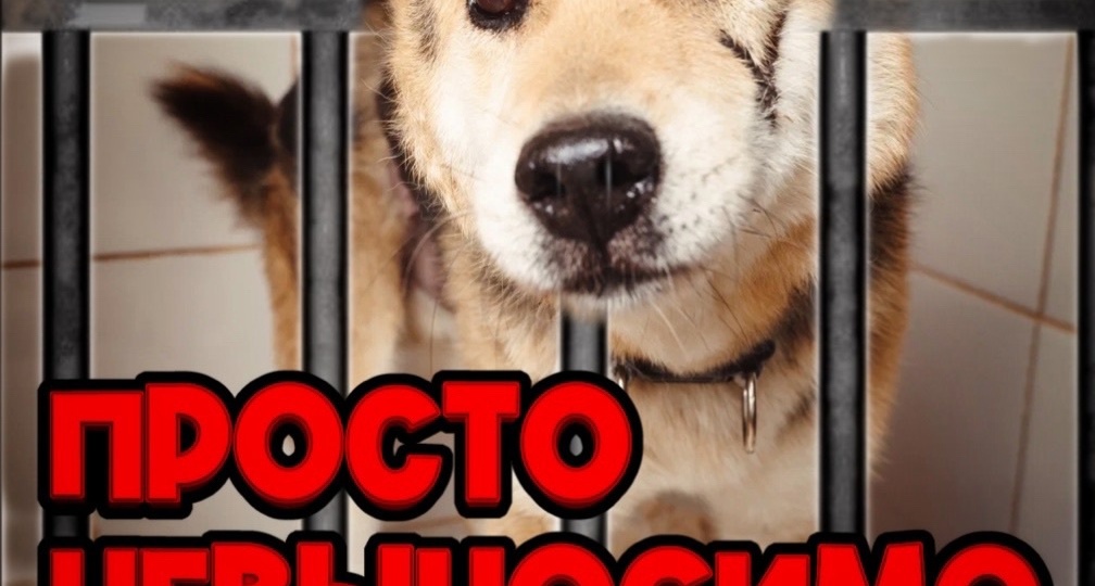 Умоляем, помогите сохранить ХОСПИС! В СИБИРИ!