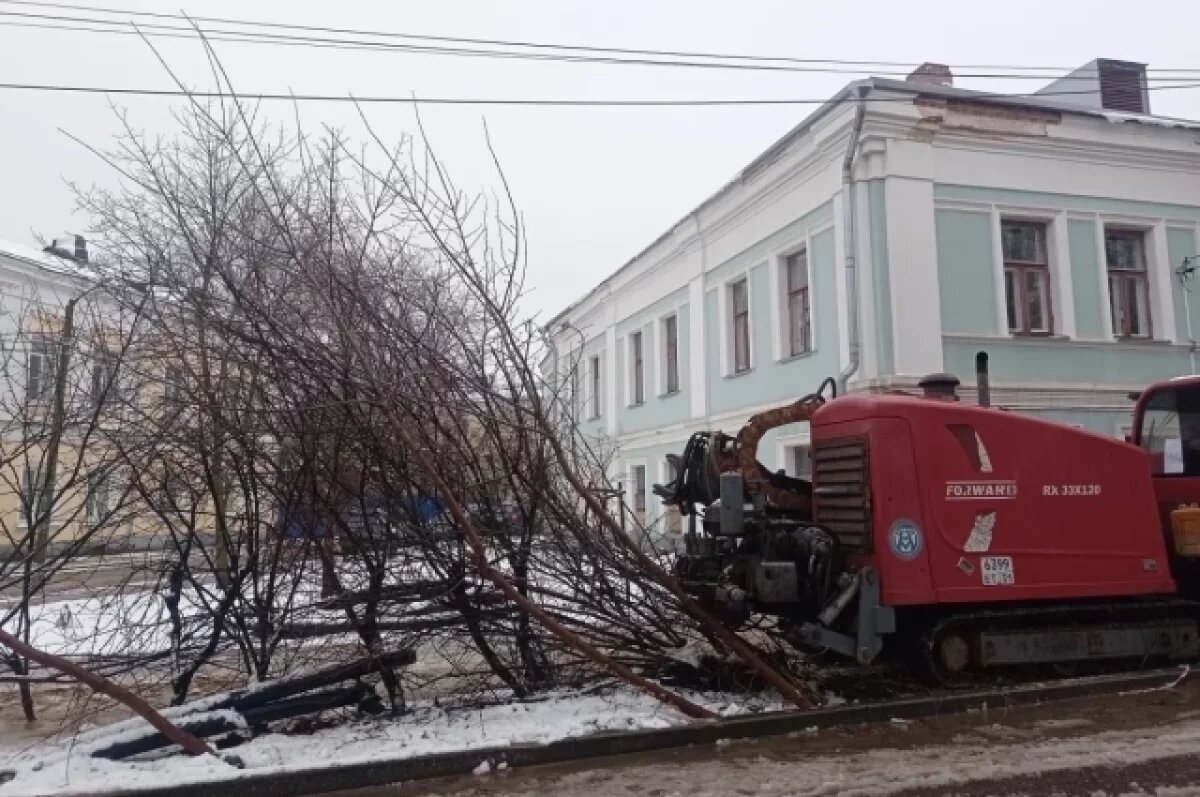    В Калуге коммунальщики переломали деревья, посаженные горожанами