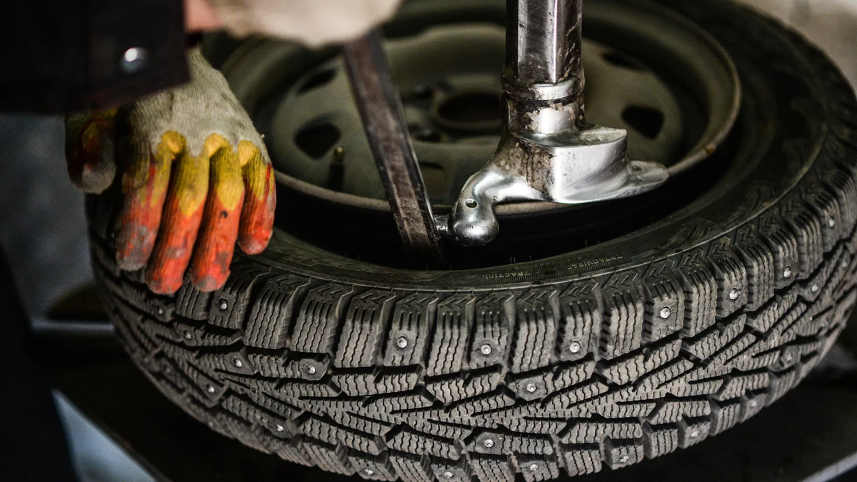 © photo: Sputnik / Konstantin Chalabov