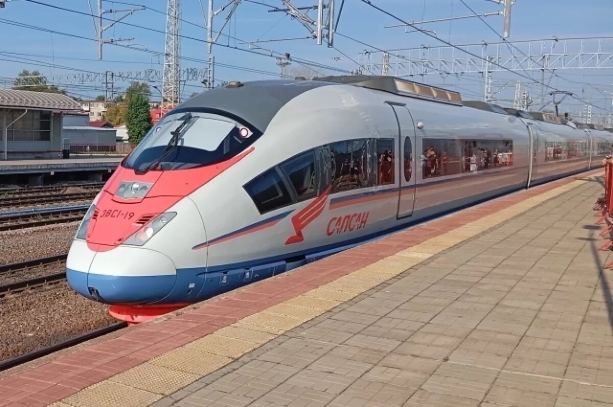    Поезд Минск-Самара въехал в Тульскую область с 13-часовым опозданием