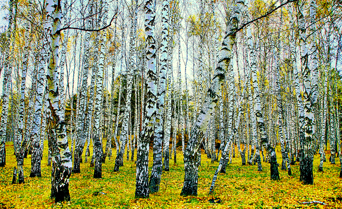 Фоография, стихотворение Василия Глуцкого