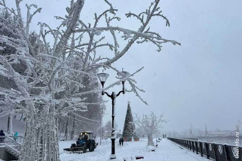    Арт-объекты поставили 23 ноября.