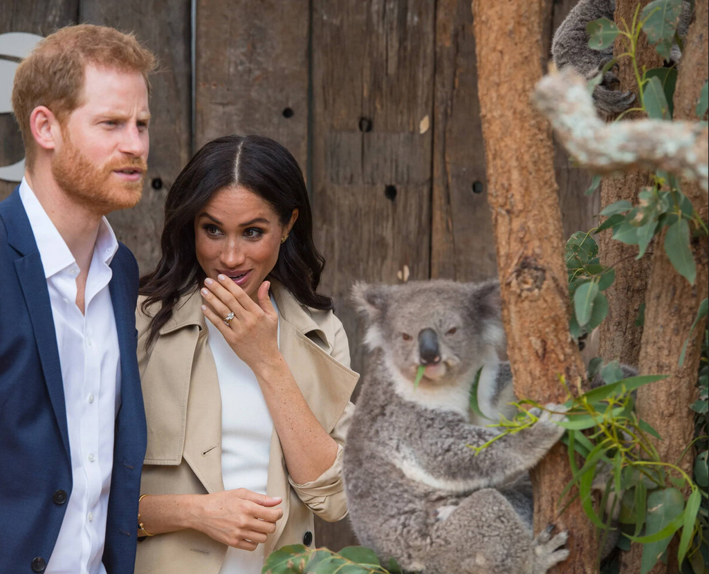 Из интернета.