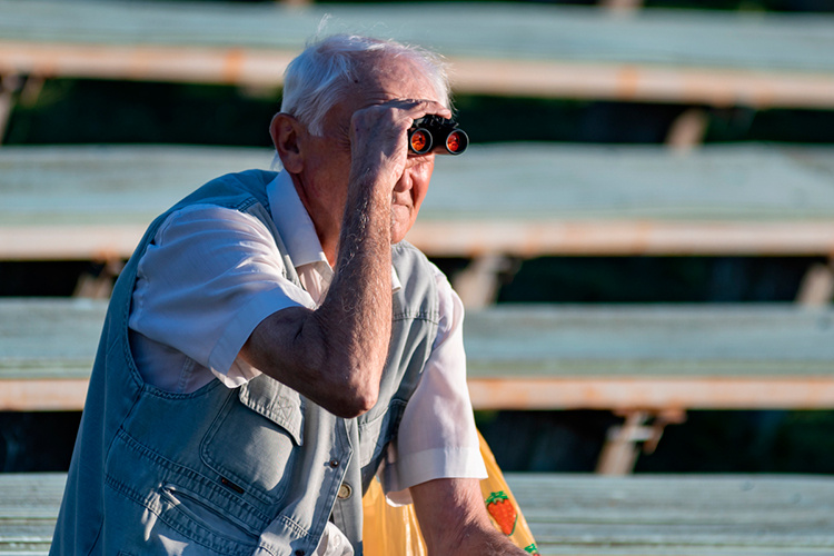 Фото: «БИЗНЕС Online»