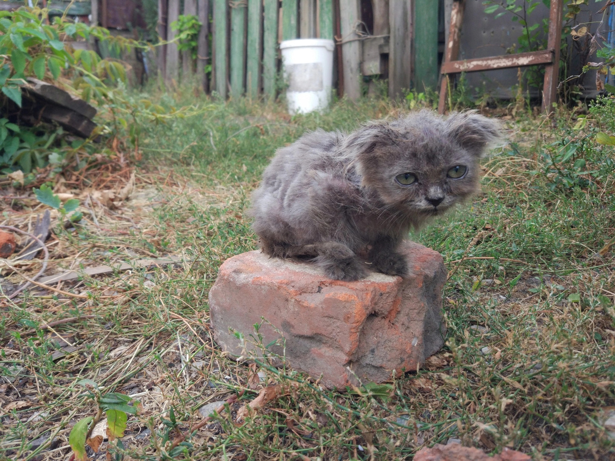 Маленькая Варя