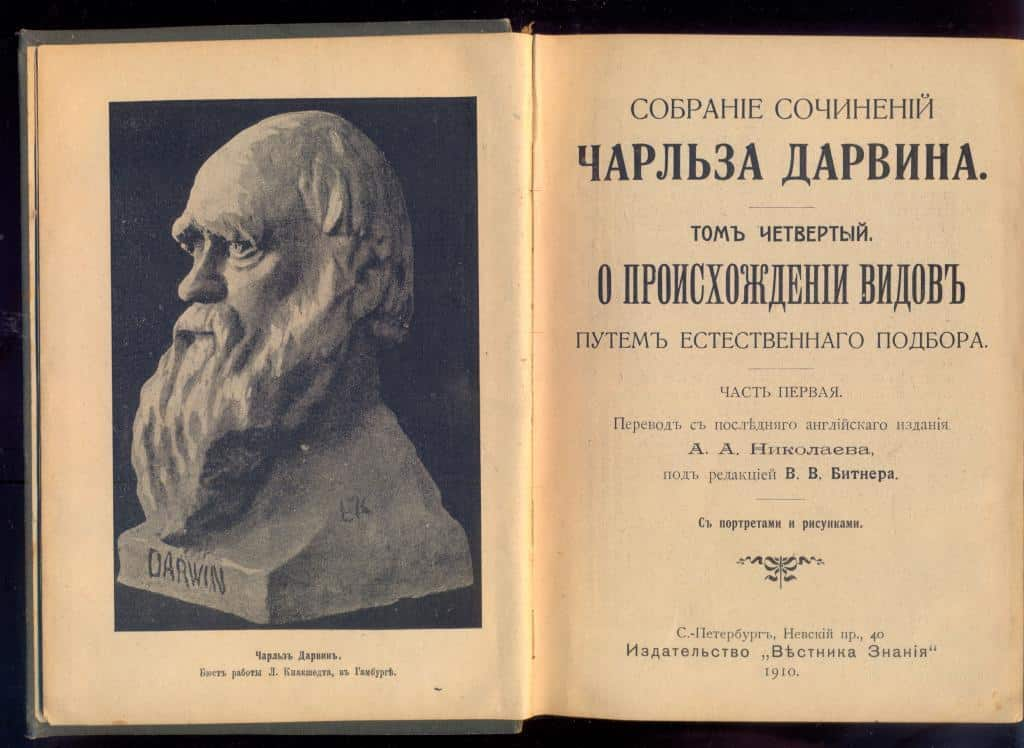 Взято: яндекс.Картинки