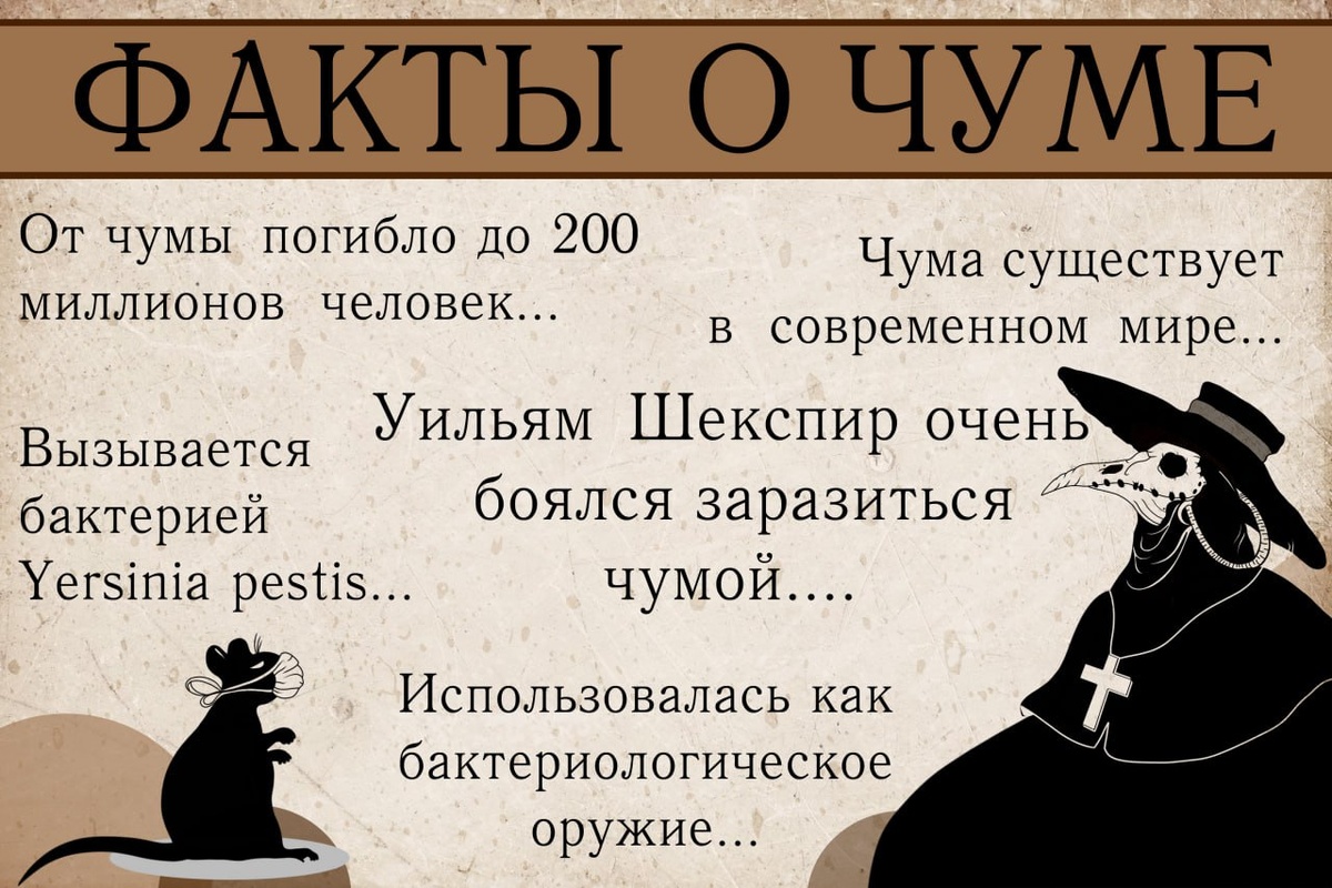 Фото из телеграм-канала «Слово в Искусстве»