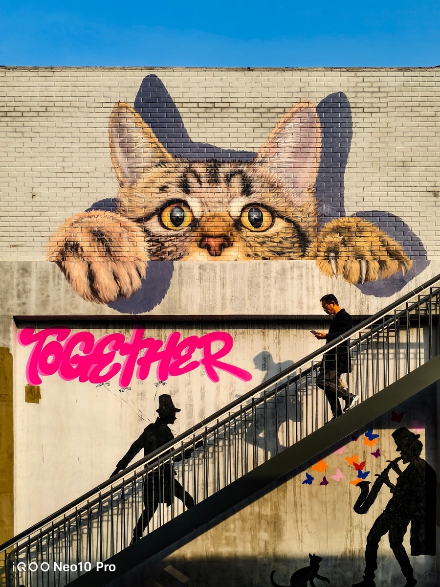 Фото: iQOO  📷
