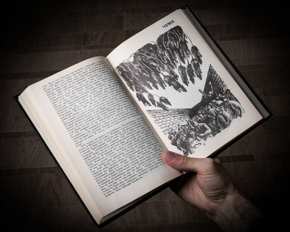 Фото из телеграм-канала «Слово в Искусстве»