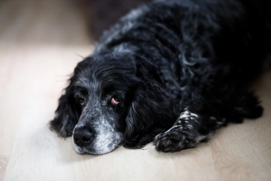    Elena Mayorova/Globallookpress