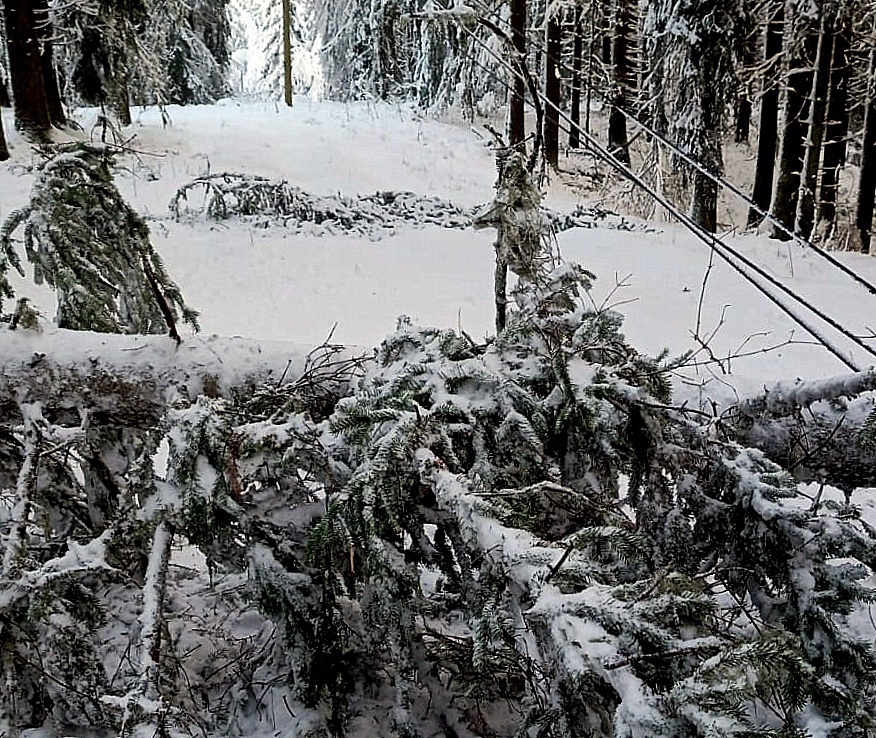    Фото: Прионежская сетевая компания