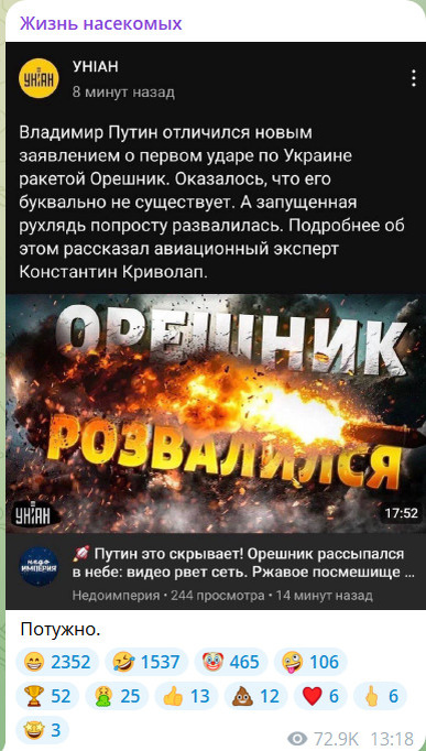    ФОТО: ТГ-КАНАЛА T.ME/INSECT_LIFE