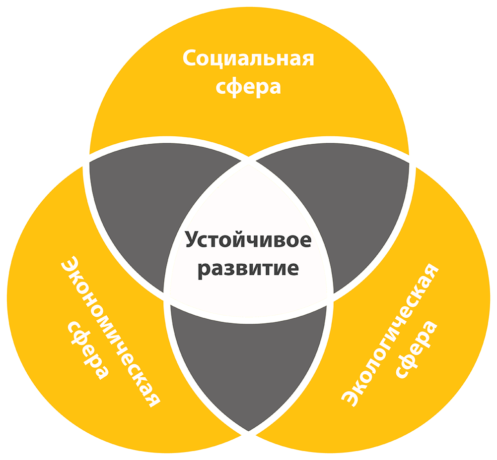 Устойчивое развитие схема. Устойчивое развитие вуза. Принципы устойчивого развития схема. Понятие устойчивого развития. Концепция устойчивого развития.