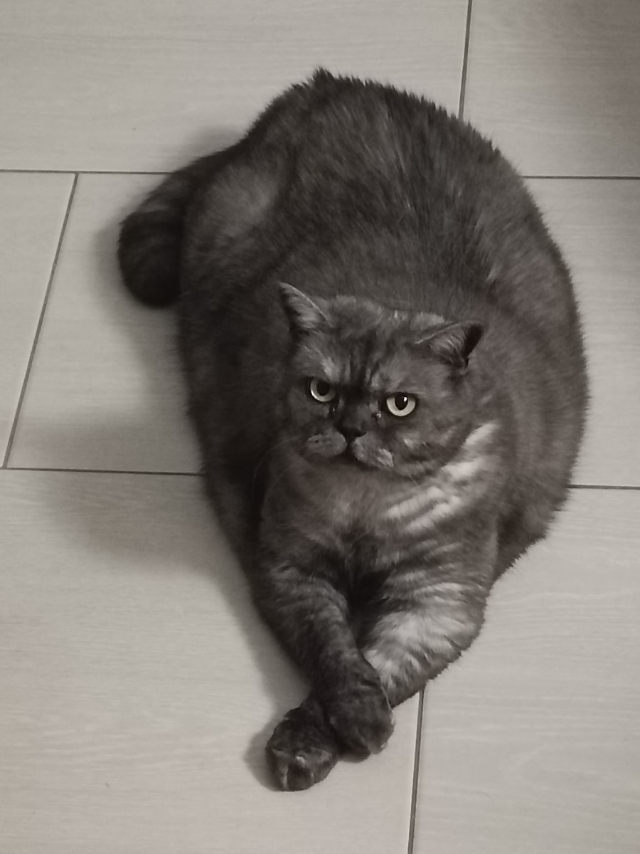 Всё утро всех держала на контроле. Началница! 