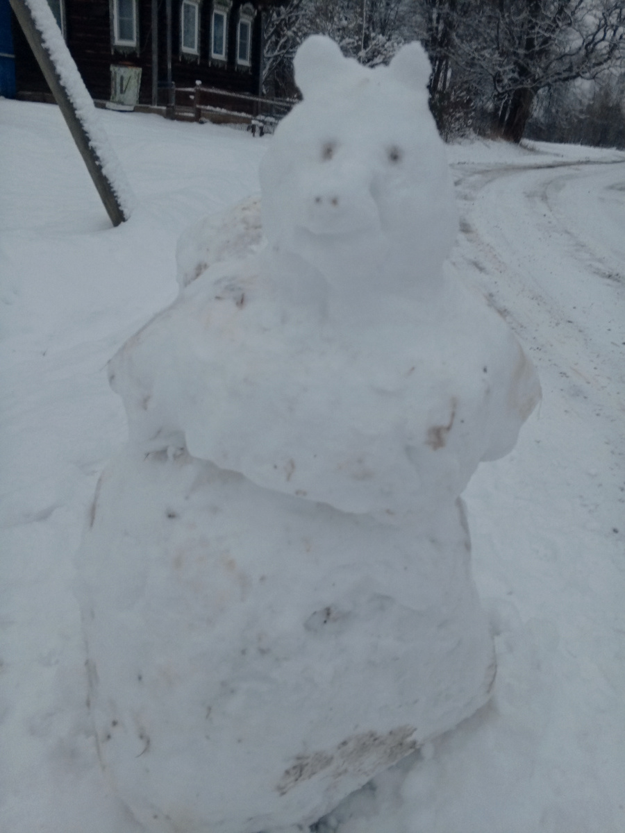 Медведя вам снежного)))