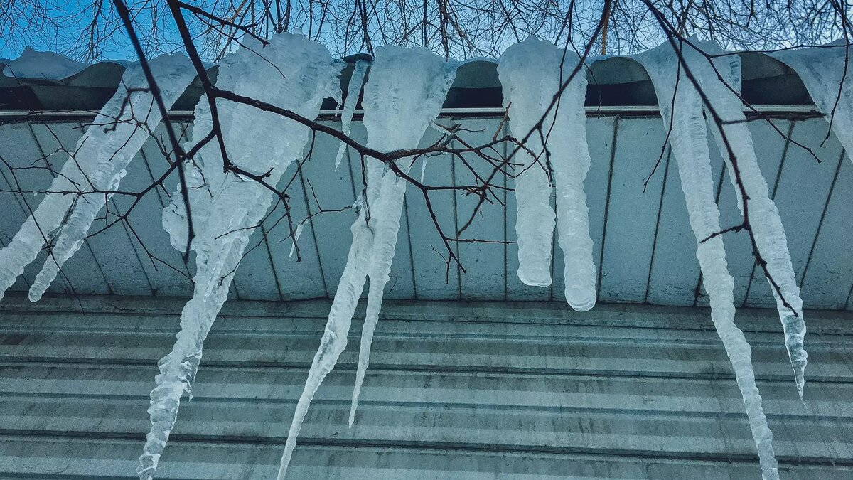     Источник: 1MI