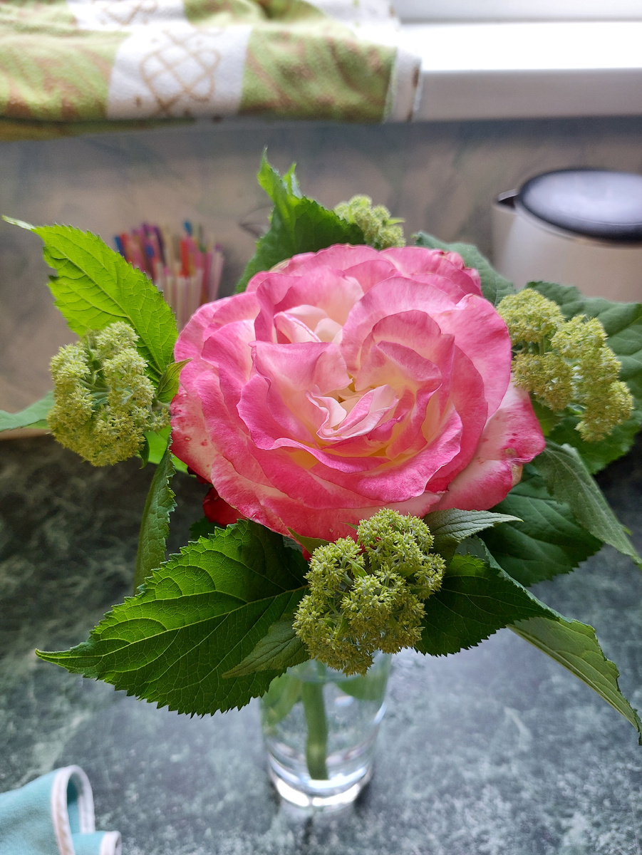 Цветы с огорода (летнее фото)