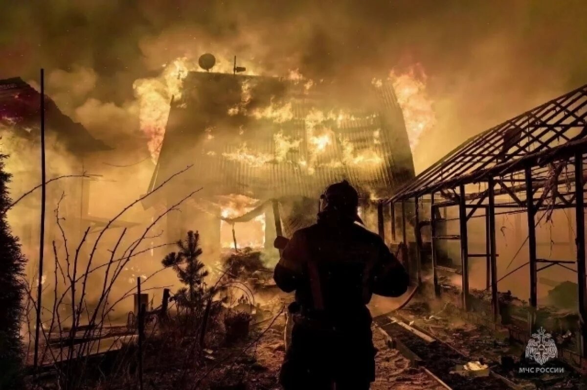    Пенсионерка чуть не погибла в ночном пожаре в челябинском СНТ