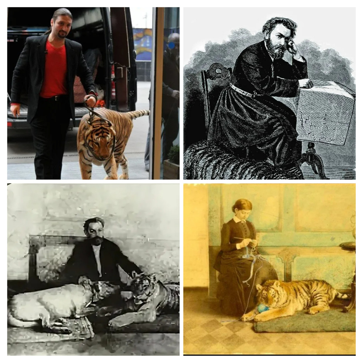 Эдгар Запашныц с тигрицей, купец Михаил Хлудов с тигрицей и жена купца Михаила Хлудова Вера Александровна с тигрицей, коллаж автора.
