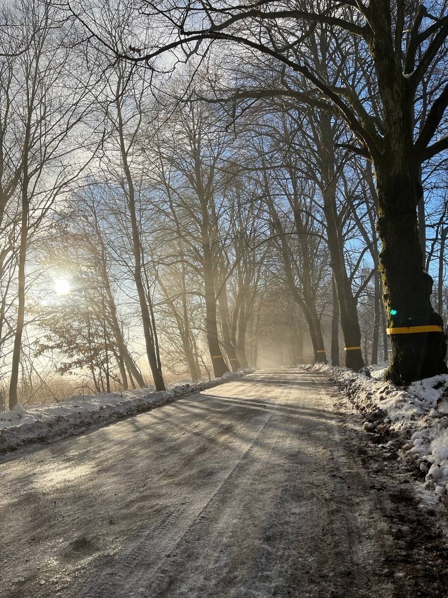 В Калининградскую область иногда приходит зима.