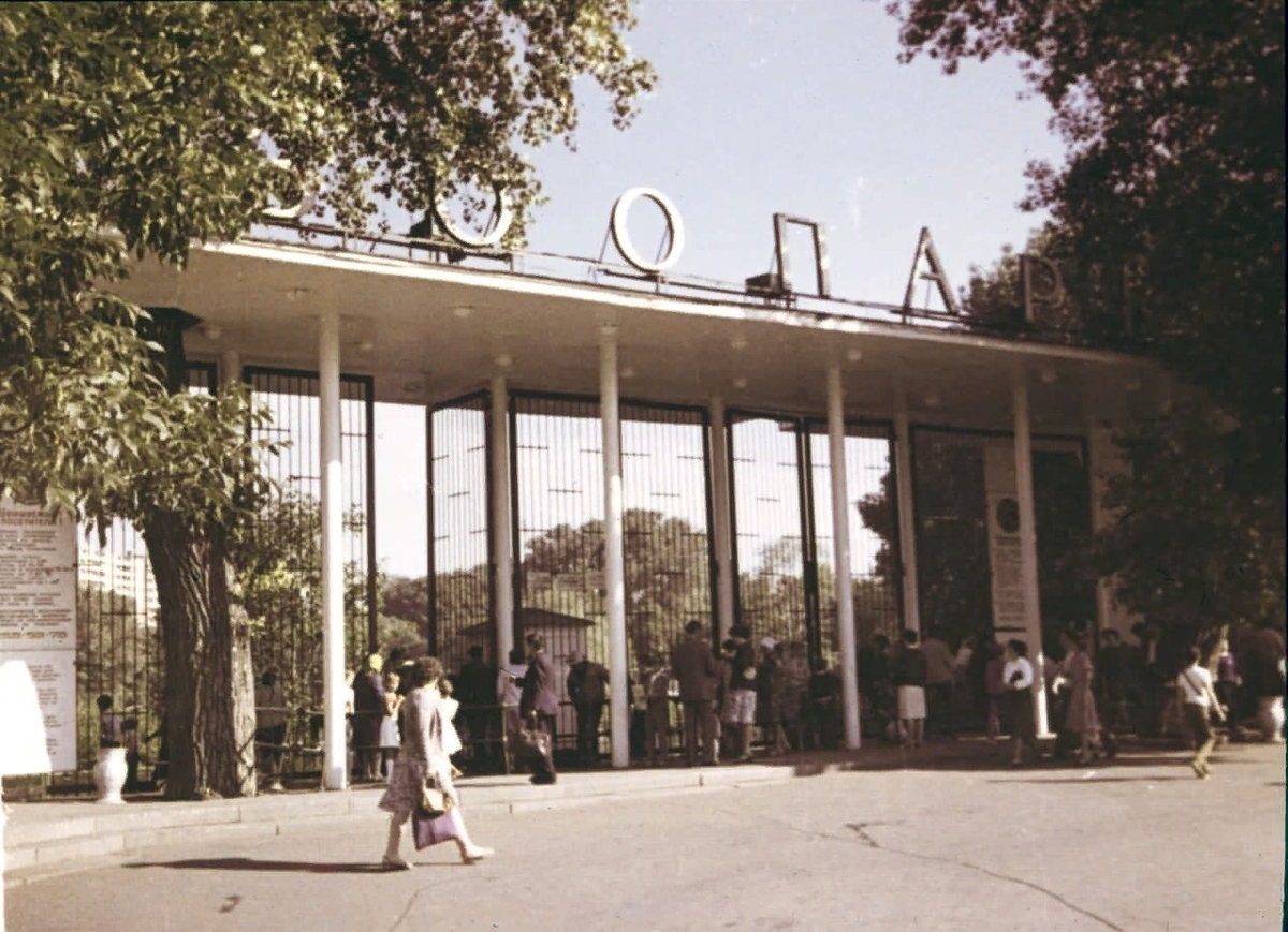 Московский Зоопарк в 1970-е. Из открытых источников.