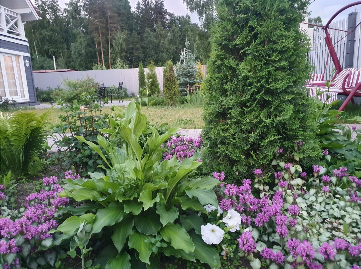 Благоустройство сада