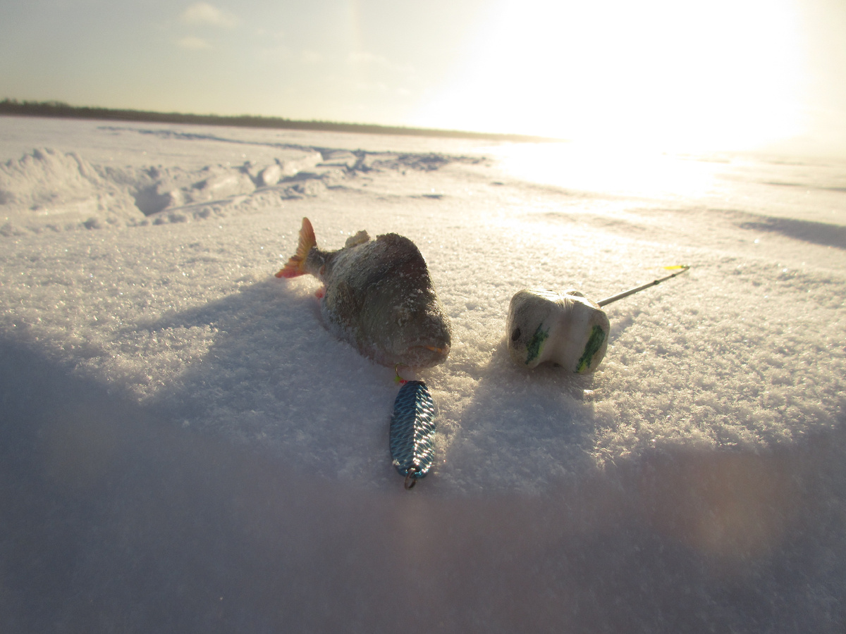 фото: Владимир Колгин