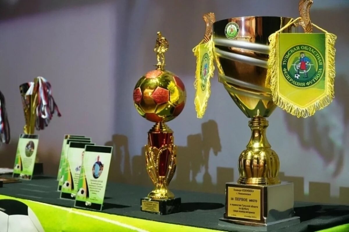    В Туле наградили лучших футболистов и тренеров области