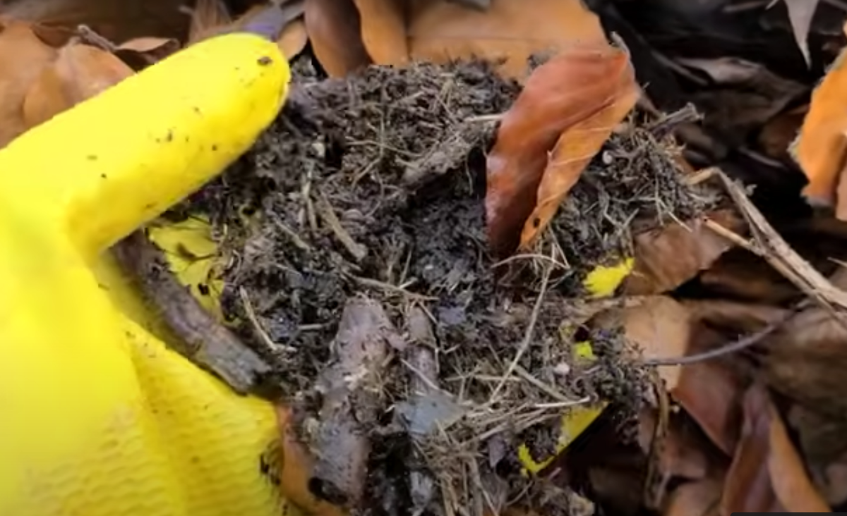 Почва на участке Людмилы Рудольф, сторонницы применения барматухи.