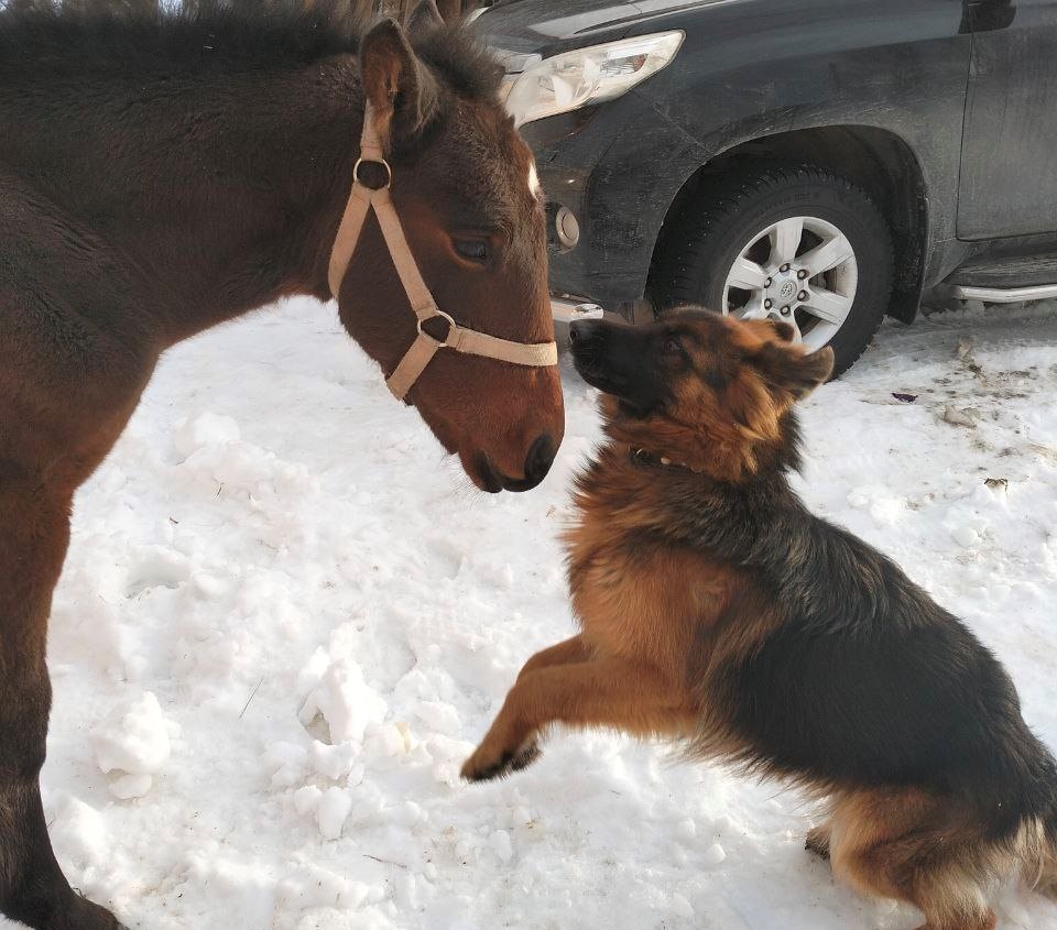    Фото: ТГ-канал «59.ру» Ульяна Бажанова