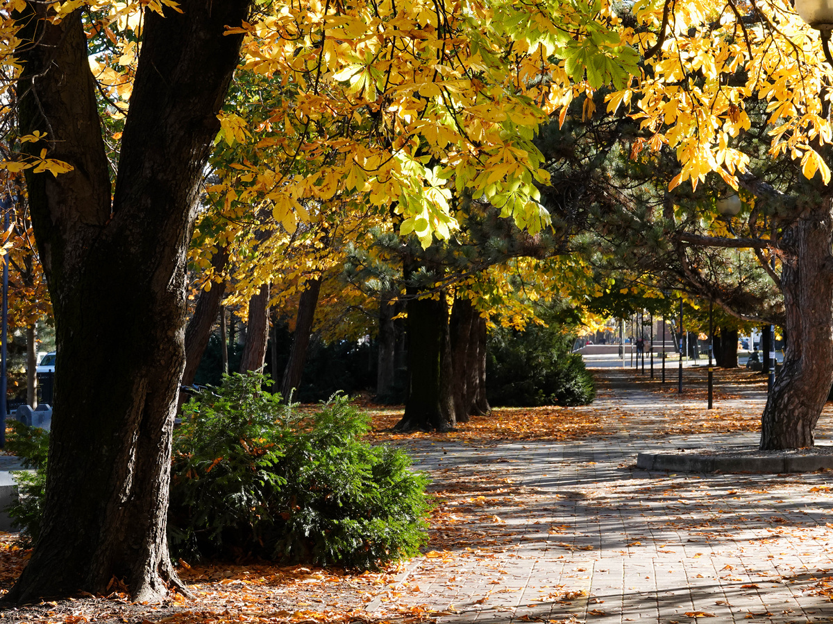 Фото листаются вправо