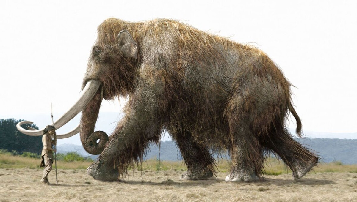 Картинка из интернета