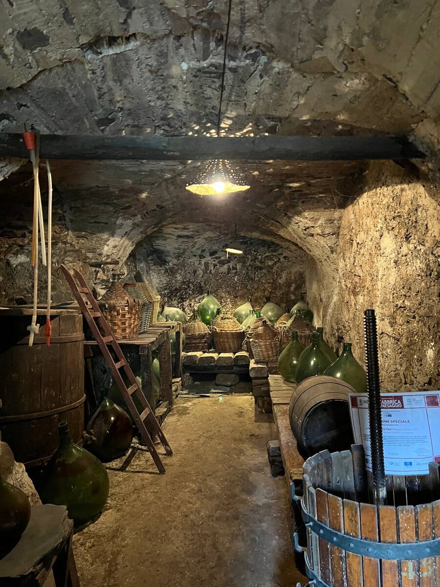 Так выглядела кантина (погребок) для хранения вина, оливкового масла и других продуктов. На этом же нулевом этаже (pianterreno) находится сарайчик, где содержали животных (овцы, корова).