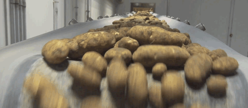 Это, конечно, не такой "картофелепровод", но чем-то напоминает. И тоже завораживает...