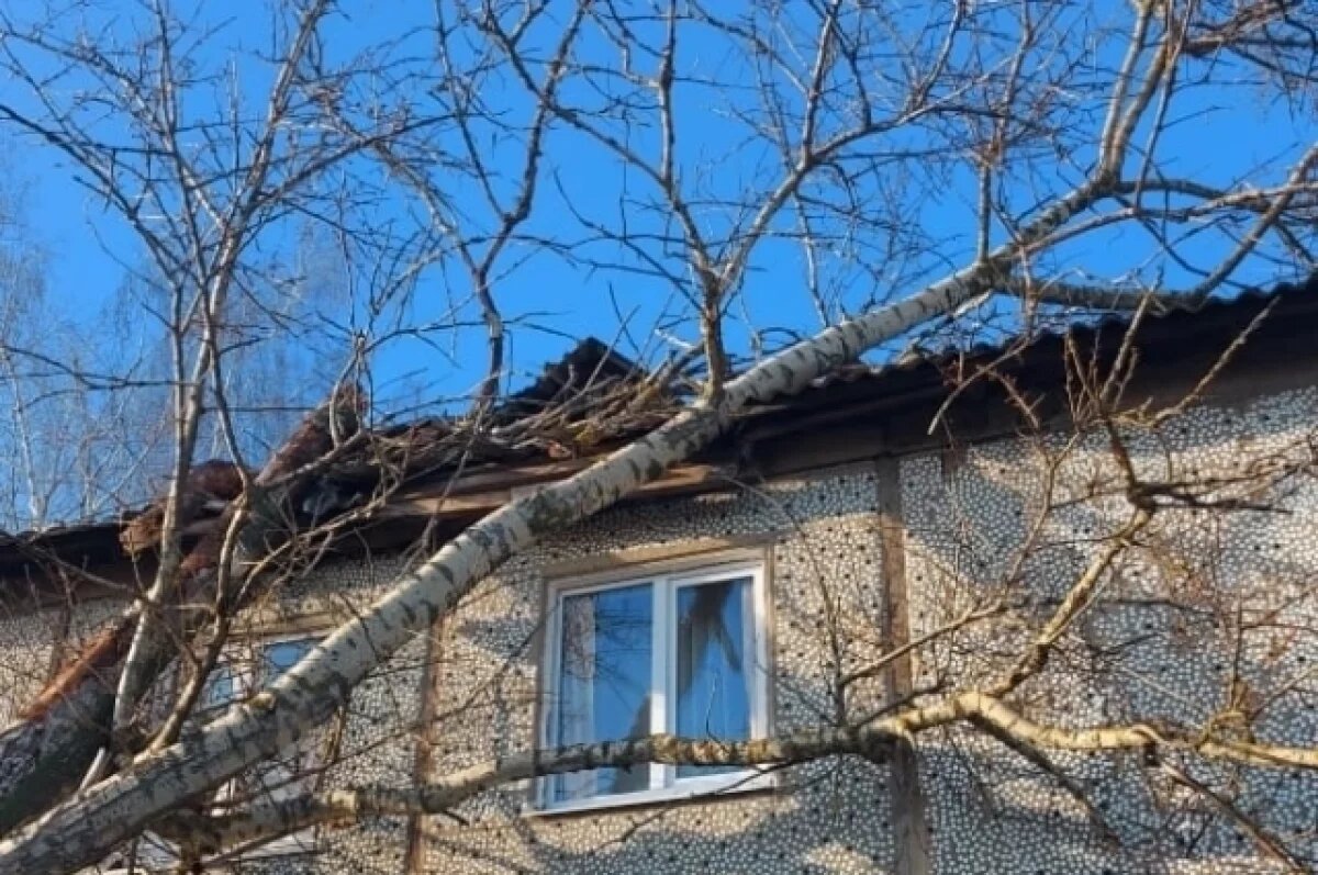    В селе под Тулой старый тополь проломил крышу, жильцов залило водой