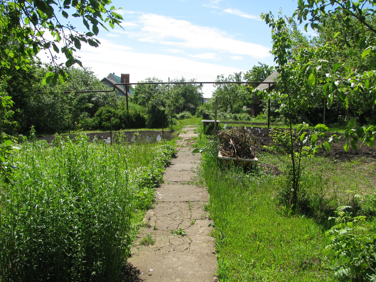 Это я иду от нашего домика в сторону дома мамы мужу. Он влева, за ним труба соседнего дома.