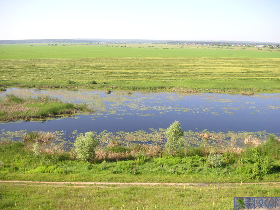 Озеро Хохловское. 2 фото