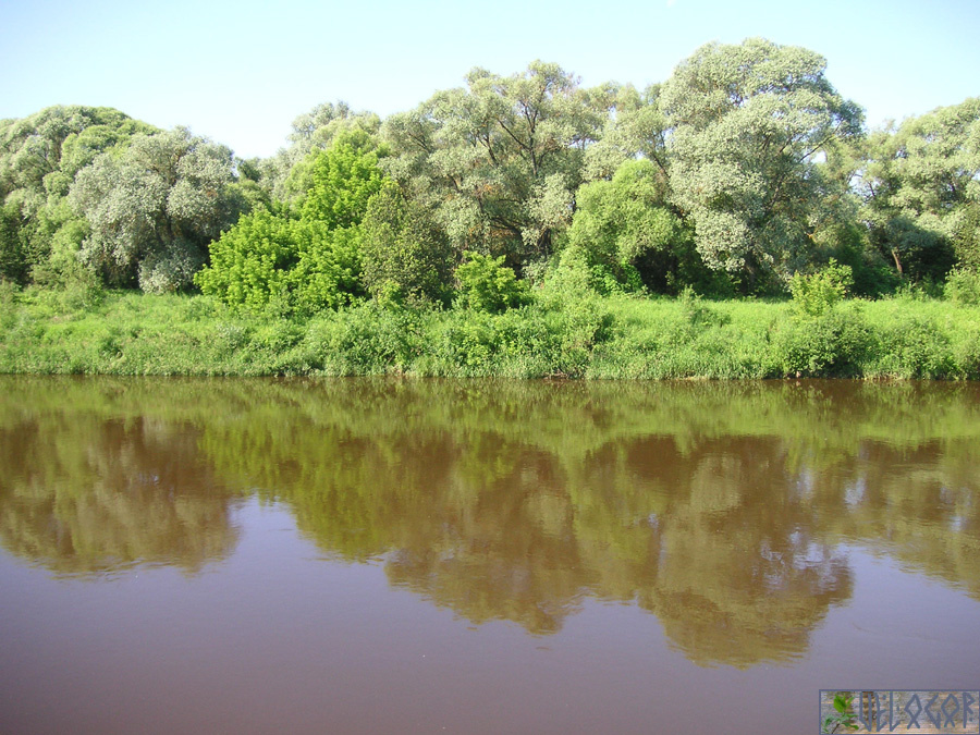 река Жиздра