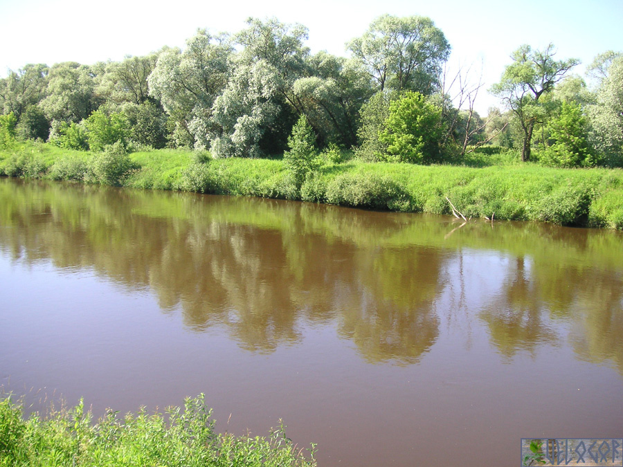 река Жиздра