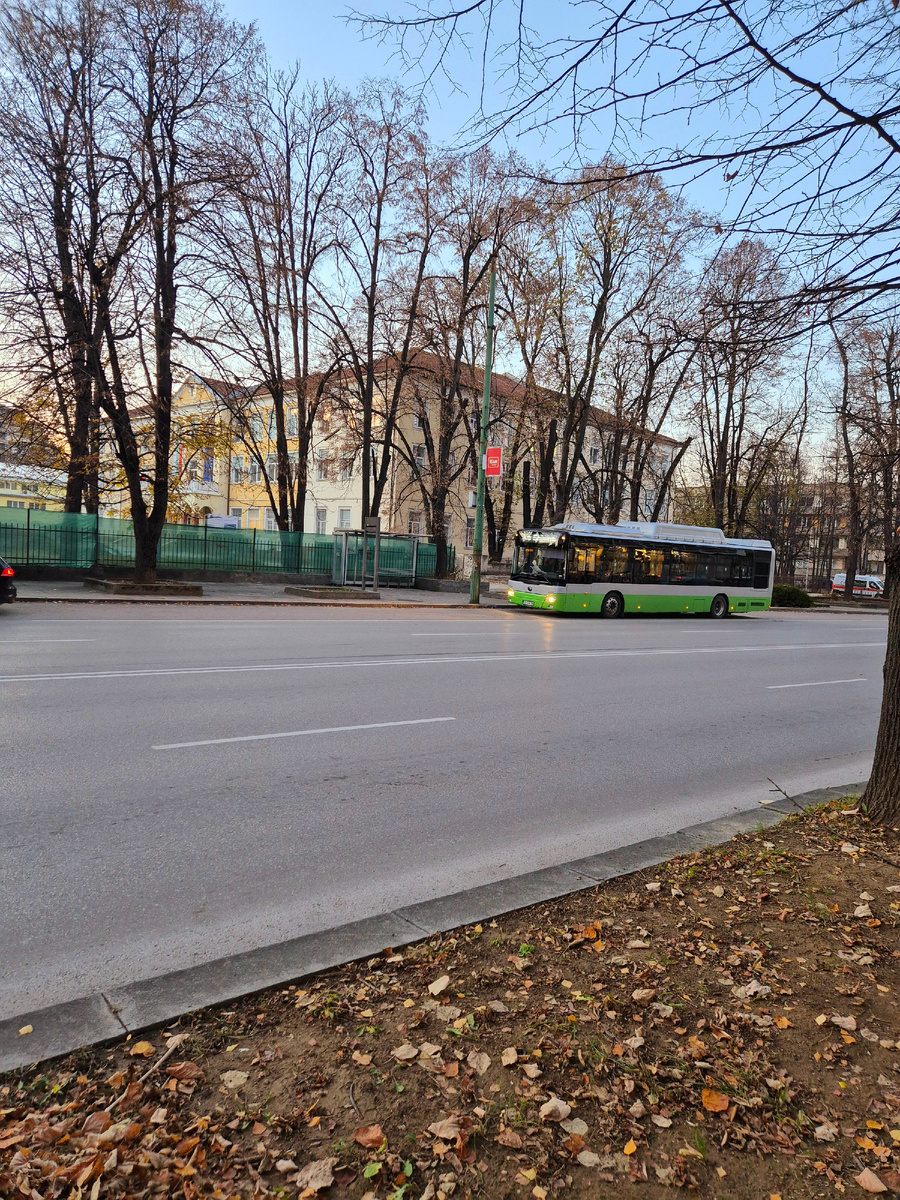 Та самая остановка, от которой сын пускается в путь на работу.