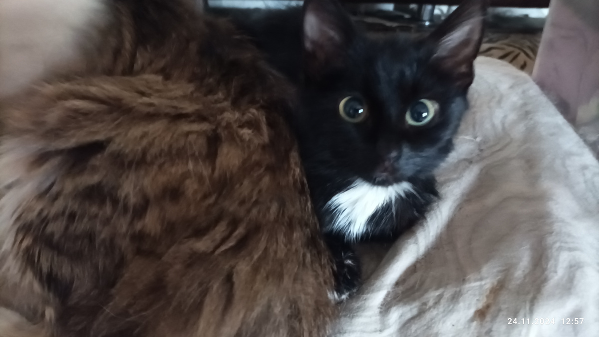 Воробышек справа. 