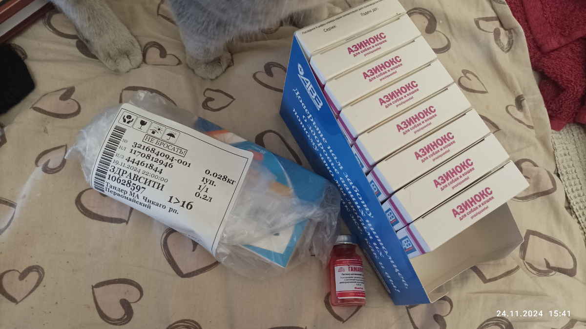 Эсперавир=5728 р., азинокс=1530 р (10 пачек), гамавит=180 р. (6мл). 