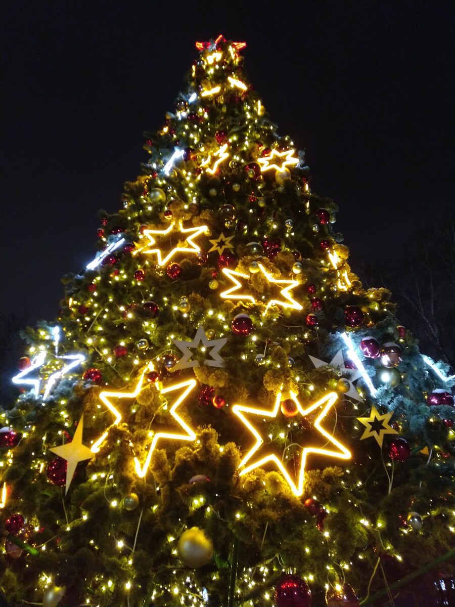 Что принесёт нам новолуние в Козероге 31 декабря 2024 года