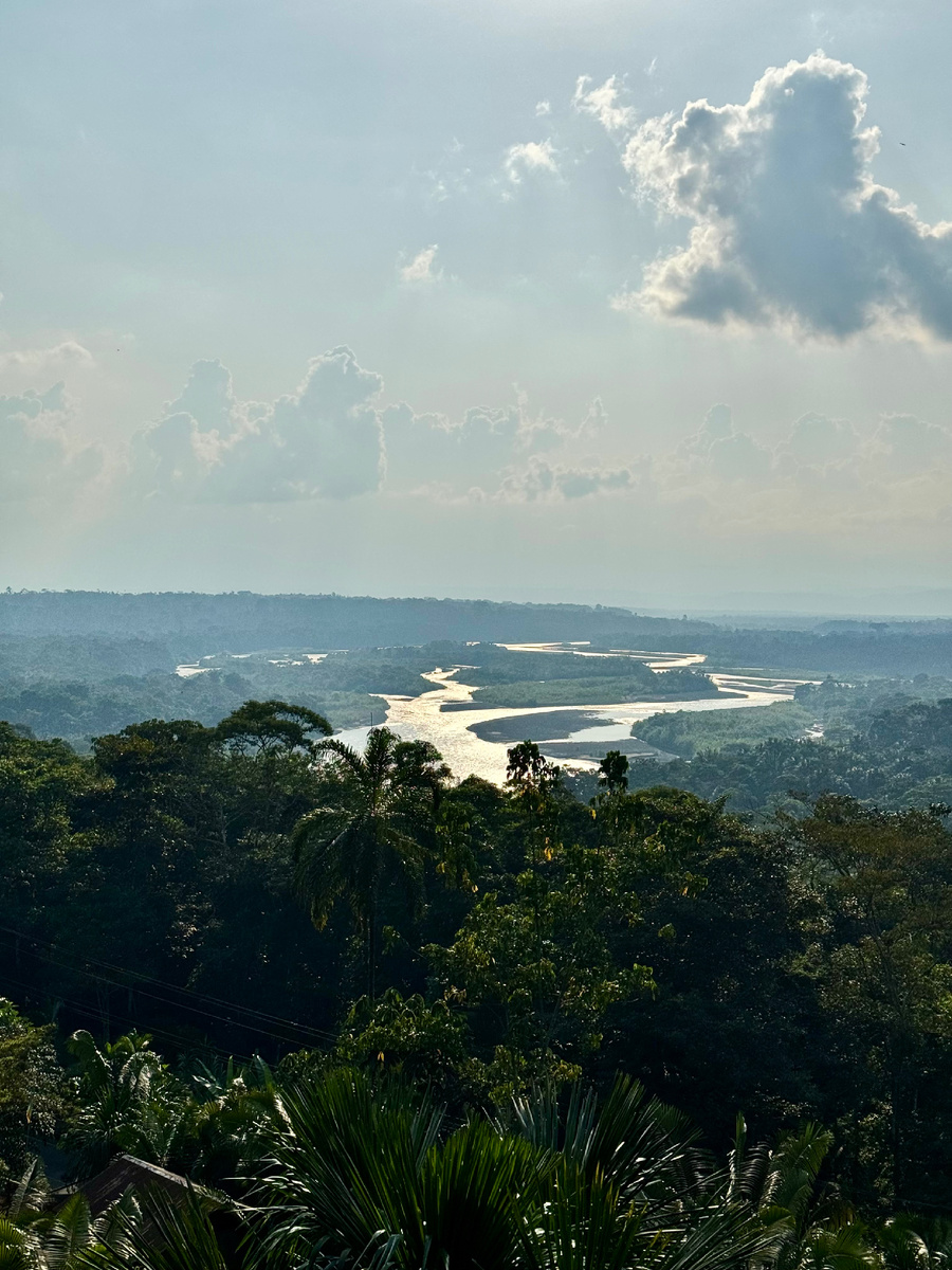 Вид на Амазонку Эквадор