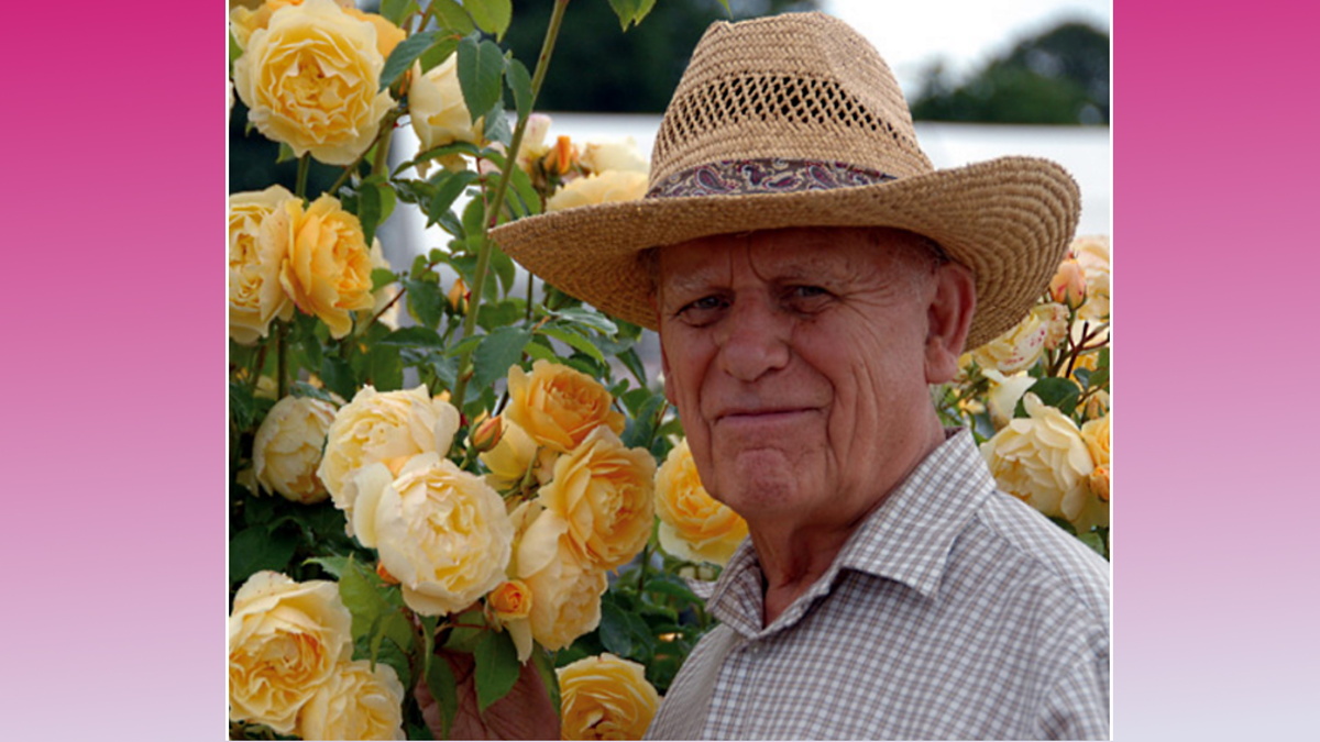 Девид Остин. Английский селекционер роз (1926-2018)