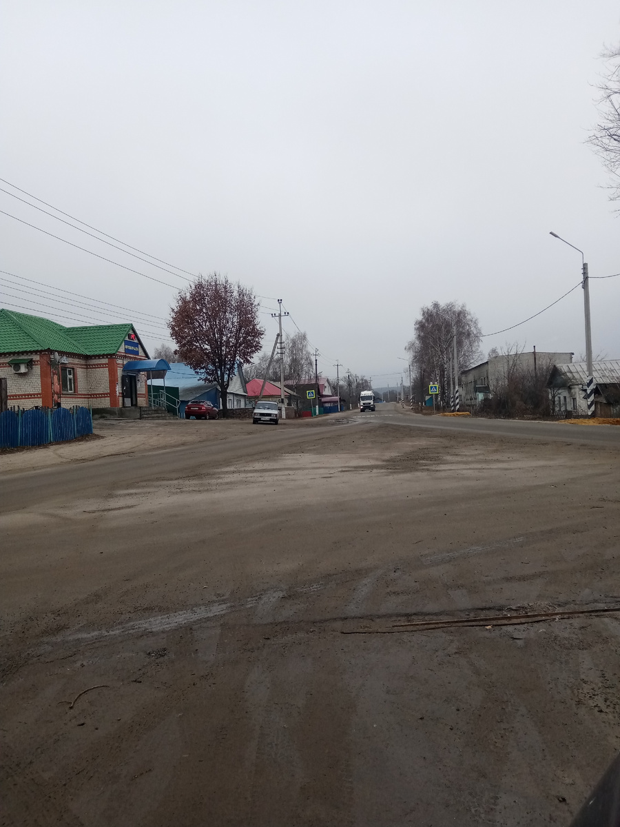 На завтра обещают снег. 